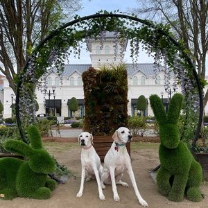 Meet your Posher, Chantaye